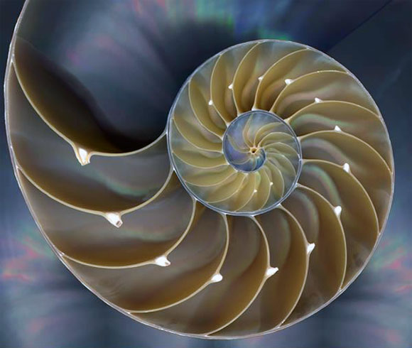 fractal1